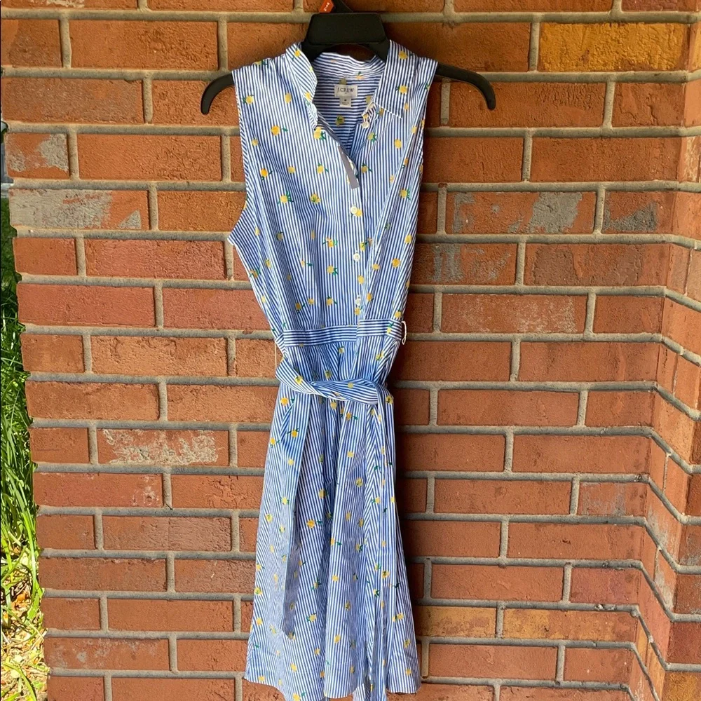 NEW JCREW factory sleeveless cotton lemon dress - Picture 3 of 6